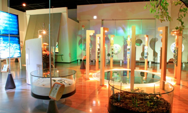 shirakamivisitorcenter_02