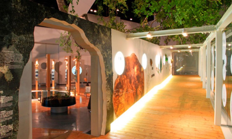 shirakamivisitorcenter_03