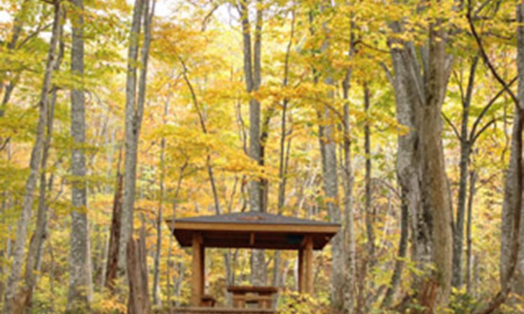 shirakami trekking_2