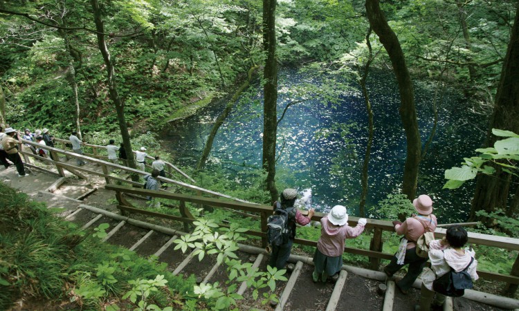 Jyuniko Trekking