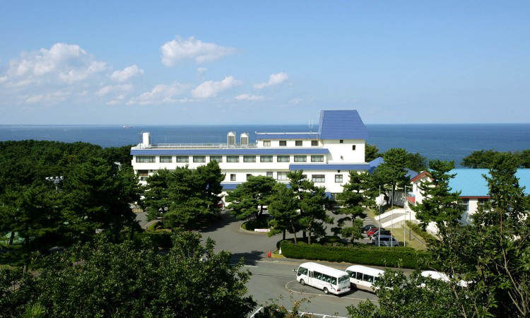288_seagull_01