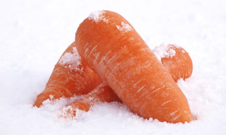 314_snowcarrot_03