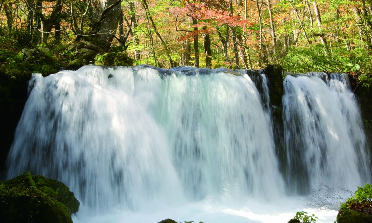 오이라세 계류03