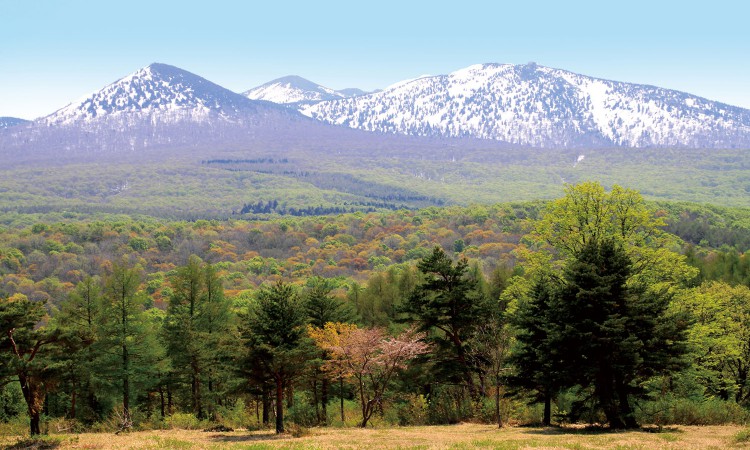 mt hakkoda