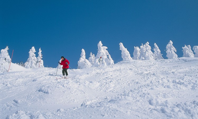 Hakkoda skiing