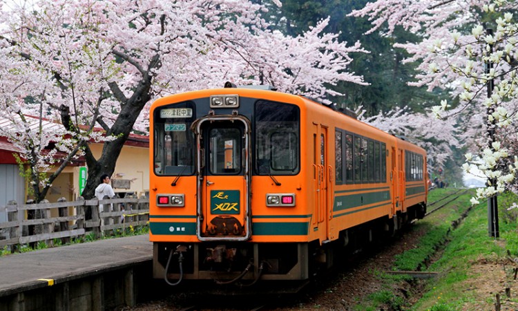 ashinoko